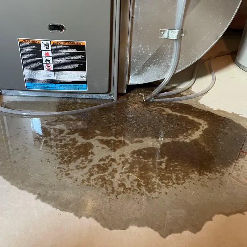 Appliance Leak Cleanup in Richton, MS